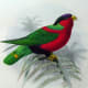 free-bird-pictures