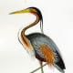 free-bird-pictures