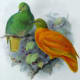 free-bird-pictures
