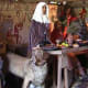 The Kings People inside Mountfitchet castle
