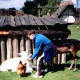 english_castles