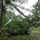 Damage on Puna Road After Hurricane Iselle 8 August 2014
