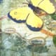 artisticjourneys