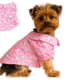your-guide-to-teacup-puppies