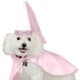 your-guide-to-teacup-puppies