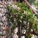 fieldstone_homes