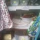 Some vintage linens, aprons, kitchen goods and handbags on display at Hubbard, Ohio gift shop.