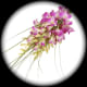 your-wedding-flowers