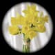 your-wedding-flowers