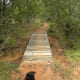 Fredericksburg Nature Trail Lady Bird Johnson - Fredericksburg TX