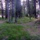 General campground area.