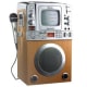 The famed KARAOKE SING ALONG SYSTEM