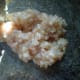 thai-flower-dumplings-recipe