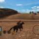 Gun Gameplay