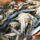 dubai-deira-fish-market
