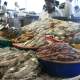 dubai-deira-fish-market