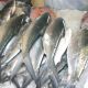 dubai-deira-fish-market