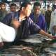 dubai-deira-fish-market