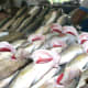 dubai-deira-fish-market