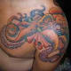 octopus-tattoos-and-meanings-octopus-tattoo-designs-squid-tattoos-designs-and-meanings