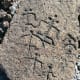 Hawaiin petroglyph from the Big Island.