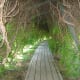 The natural use of trees to create tunnels and walkways is superb.