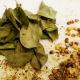 Dry curry leaves