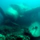 military-warship-tank-airplane-graveyard-under-the-sea-sunken-wwii-hardware