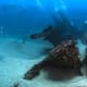 military-warship-tank-airplane-graveyard-under-the-sea-sunken-wwii-hardware