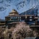 Houses at Kalpa