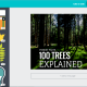 how-to-create-a-made-for-pinterest-graphic