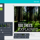 how-to-create-a-made-for-pinterest-graphic