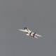 An F-14 during a flight demonstration at Andrews AFB, MD