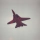 An F-14 during a flight demonstration at Andrews AFB, MD.