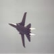 An F-14 with it wings swept forward during an aerial demonstration, Andrews ADB, MD.
