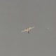 An F-14 during a flight demonstration at Andrews AFB, MD.