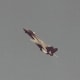 An F-14 duirng a flight demonstration