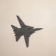An F-14 during a flight demonstration