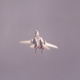 An F-14 inverted.