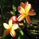 http://www.flickr.com/photos/kpix20/4902151517/
