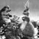 Rag, Tag and Bobtail entertained us on Thursdays