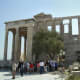 Athena's sacred olive tree growing in front of the Erechtheion,The Acropolis of Athens