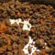 Picadillo