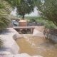Delicias irrigation