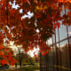 free-seasonal-wallpapers-spring-summer-fall-winter