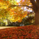 free-seasonal-wallpapers-spring-summer-fall-winter