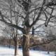 free-seasonal-wallpapers-spring-summer-fall-winter