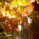 free-seasonal-wallpapers-spring-summer-fall-winter
