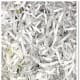 Shredded Paper Bedding