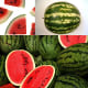 Hot summer days and sweet, juicy watermelons are a perfect match.